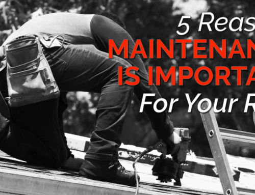 5 Reasons Maintenance Is Important For Your Roof
