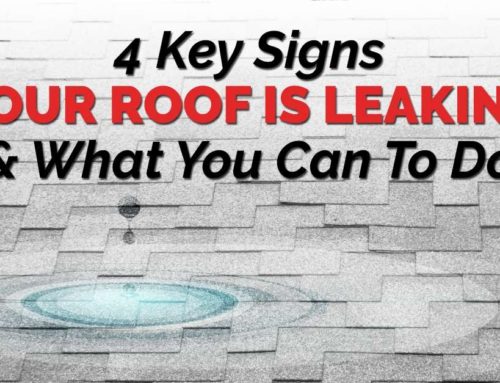 4 Key Signs Your Roof Is Leaking & What You Can To Do
