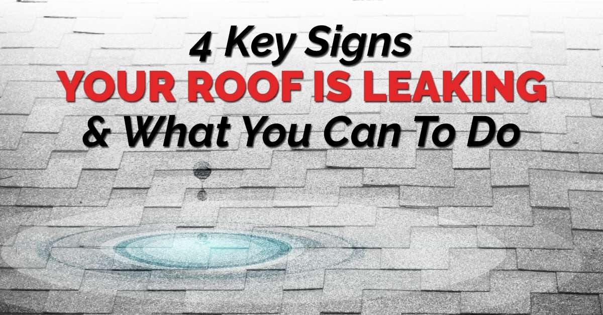 graphic with the quote "4 Key Signs Your Roof Is Leaking & What You Can To Do"